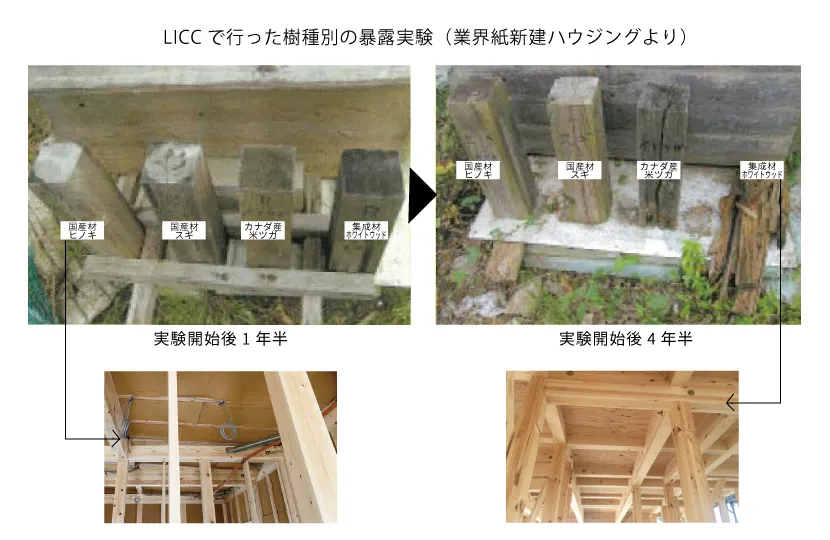 Natulife Homesスタッフブログ|LICCで行った樹種別の暴露実験(業界紙新建ハウジングより)