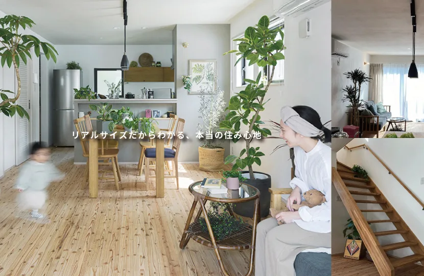 Natulife Homesのイベント｜暮らしにフィットする等身大の家　二階建てモデルハウス見学会