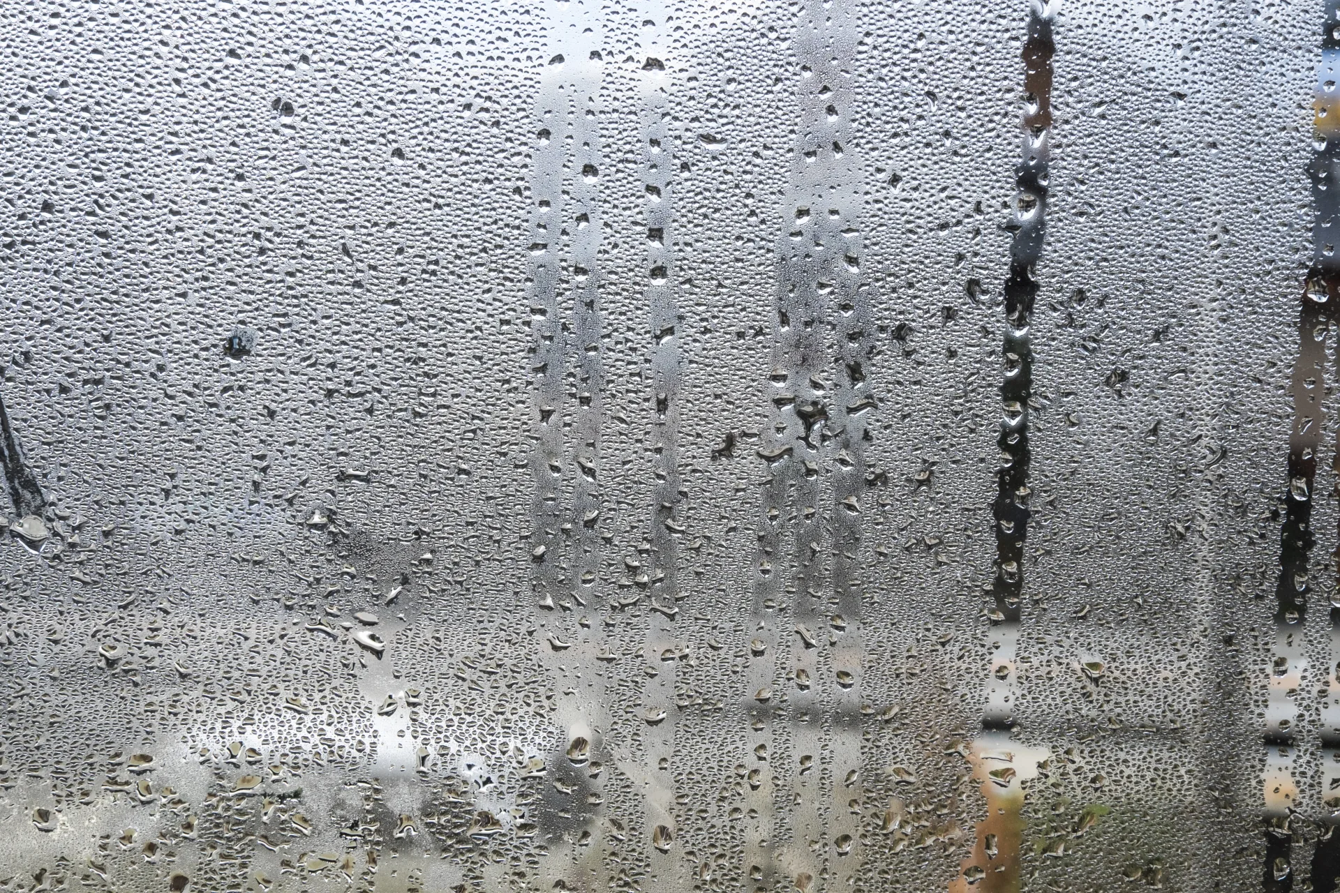 アレルギー・アトピーと住まいの関係とは？