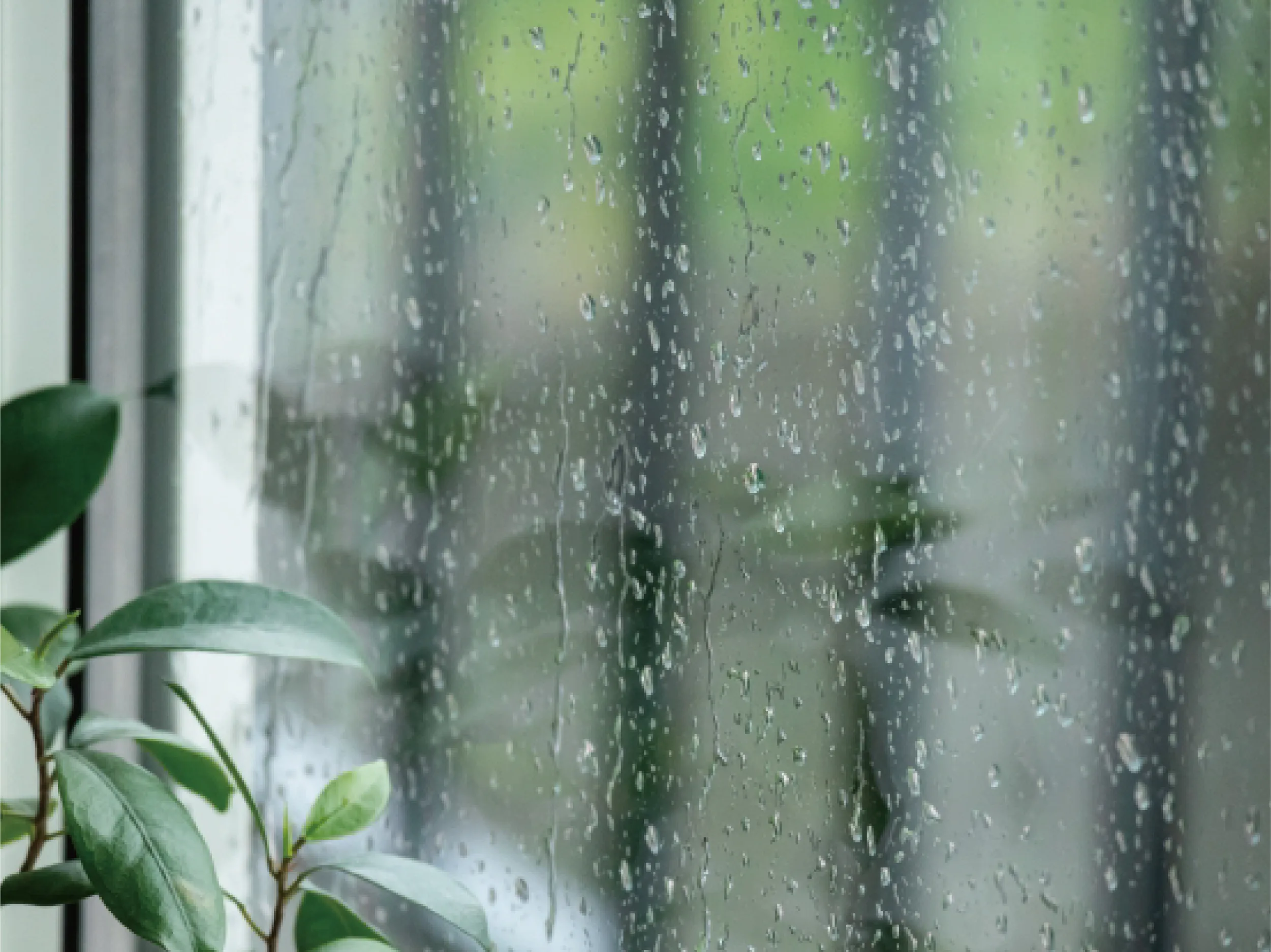 雨音が気になりにくい静かな室内