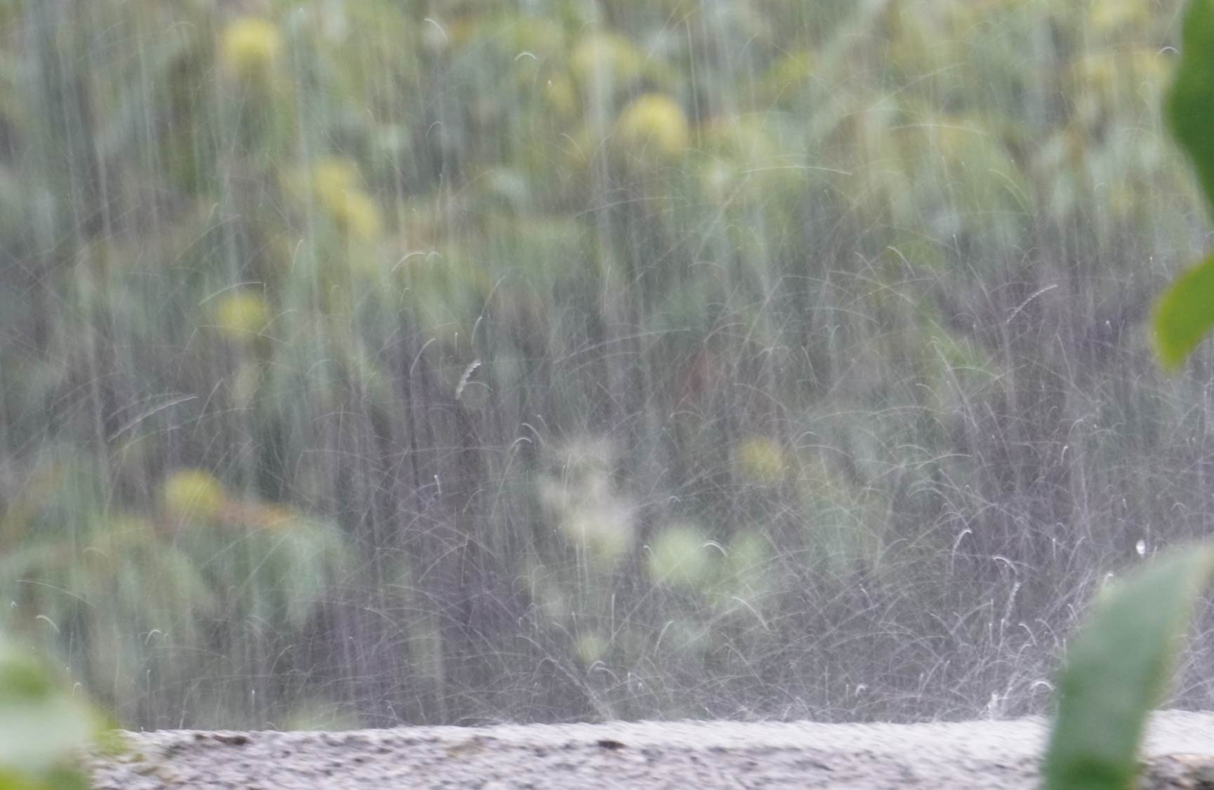 【家づくりコラム｜住宅性能・断熱】線状降水帯・大雨に強い家とは｜エコボードの耐水性・透湿性・遮音性